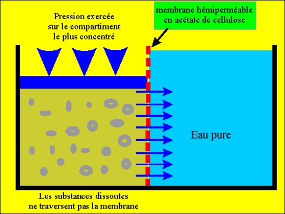 Le phénomène de l'osmose et l'osmose inverse 